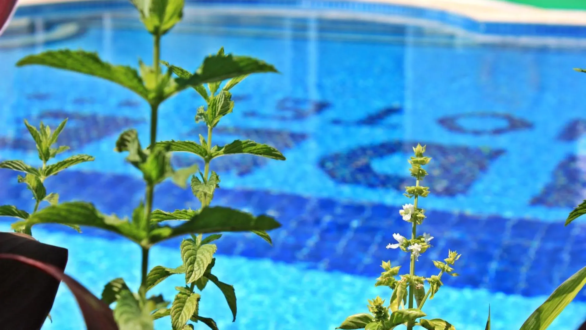 Idee Suites Фетхие Отель